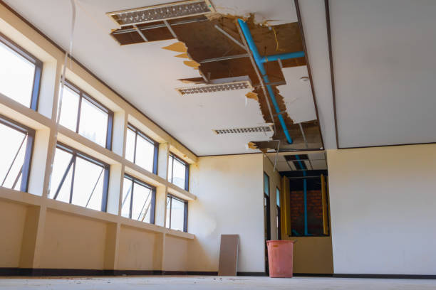 Best Fire Damage Restoration  in Reiffton, PA