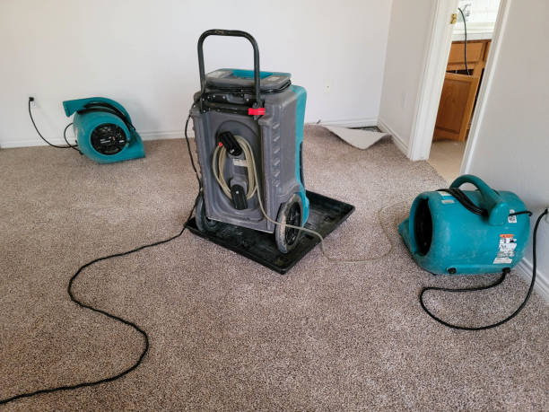  Reiffton, PA Water damage restoration Pros