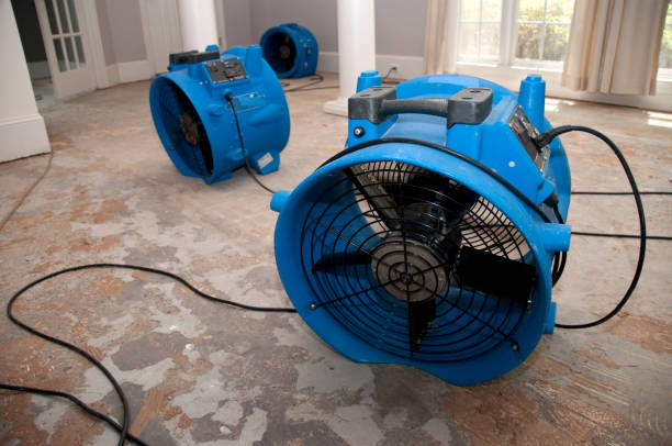 Best Water damage restoration services  in Reiffton, PA