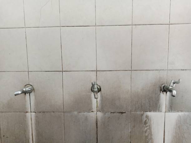 Best Water damage restoration near me  in Reiffton, PA