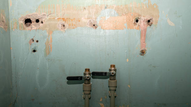 Best Water damage restoration experts  in Reiffton, PA