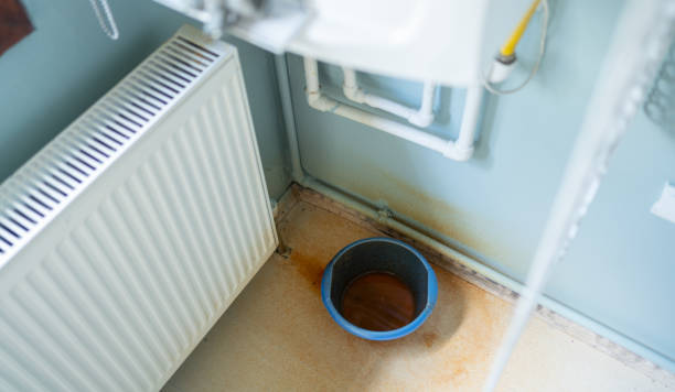 Best Water damage restoration near me  in Reiffton, PA