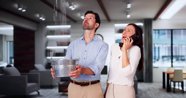 Best Local water damage restoration  in Reiffton, PA
