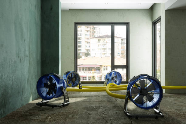 Best Basement water damage restoration  in Reiffton, PA